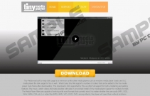 TinyMediaPlayer