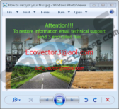 Ecovector Ransomware