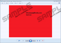 Bitcoinpay@india.com Ransomware