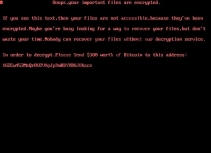 Uselessdisk Ransomware